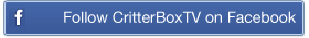 CritterBoxTV Facebook Page